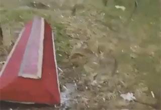 Гроб потеряли на трассе «Дон»: видео